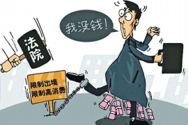 安阳专业讨债公司有哪些核心服务？